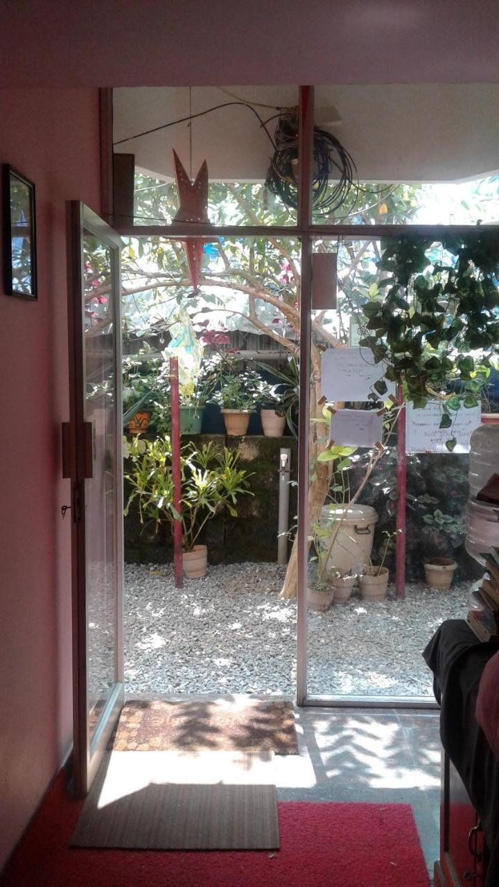 Baby House Hotel Varkala Bagian luar foto